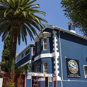  Auberge de jeunesse Big Blue Backpackers